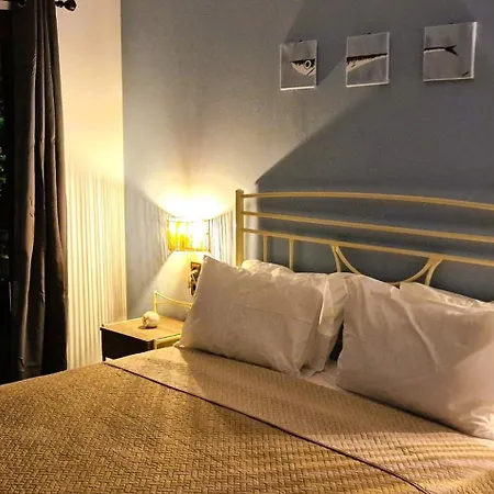 Daire My Garden